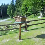 In Kufstein Near School * Niederndorferberg