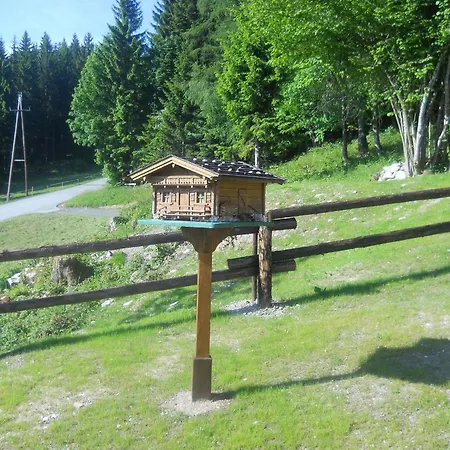 In Kufstein Near School * Niederndorferberg