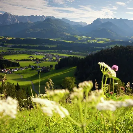 In Niederndorf Bei Kufstein Near Area